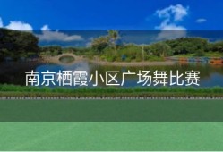 南京栖霞小区广场舞比赛