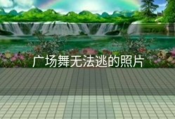 广场舞无法逃的照片