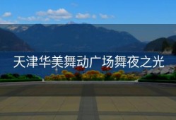 天津华美舞动广场舞夜之光