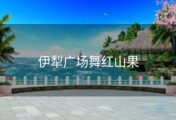 伊犁广场舞红山果