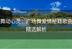舞动心灵：广场舞爱情秘籍歌曲精选解析