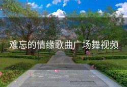 难忘的情缘歌曲广场舞视频