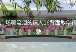 广场舞流泪的情人16背面教学视频