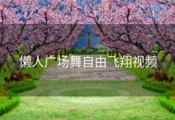 懒人广场舞自由飞翔视频