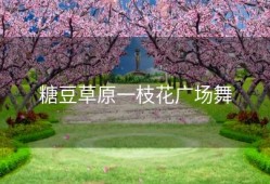 糖豆草原一枝花广场舞