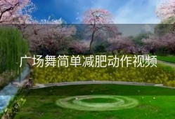 广场舞简单减肥动作视频