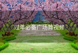 过年必备广场舞视频