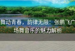 舞动青春，韵律无限：张鹏飞广场舞音乐的魅力解析