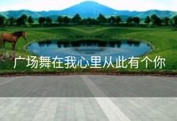 广场舞在我心里从此有个你