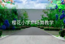 樱花小学广场舞教学