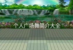 个人广场舞简介大全