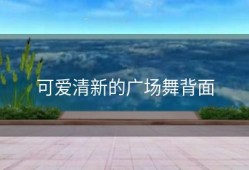 可爱清新的广场舞背面