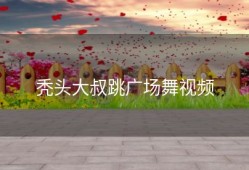 秃头大叔跳广场舞视频