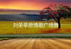 刘荣草原情歌广场舞