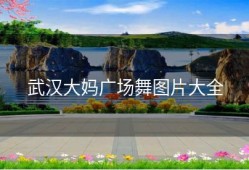 武汉大妈广场舞图片大全