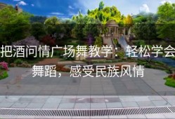 把酒问情广场舞教学：轻松学会舞蹈，感受民族风情