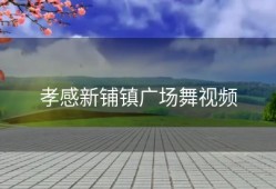 孝感新铺镇广场舞视频