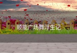 顺能广场舞浮生记