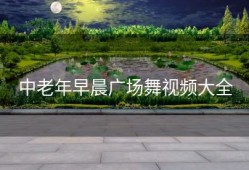 中老年早晨广场舞视频大全