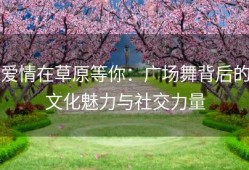 爱情在草原等你：广场舞背后的文化魅力与社交力量