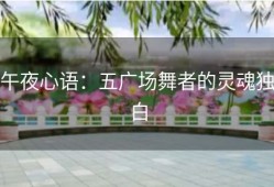 午夜心语：五广场舞者的灵魂独白
