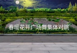 春暖花开广场舞集体对跳