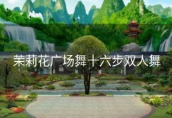 茉莉花广场舞十六步双人舞