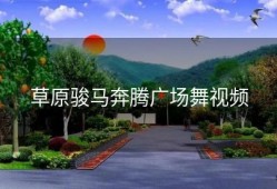 草原骏马奔腾广场舞视频