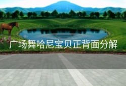 广场舞哈尼宝贝正背面分解