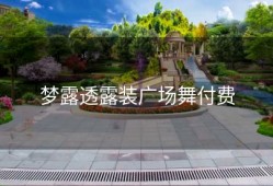 梦露透露装广场舞付费