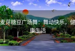 麦芽糖豆广场舞：舞动快乐，健康生活