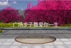 广场步子舞爱你一生