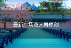 最新广场双人舞原创