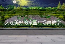 大连美好的家园广场舞教学
