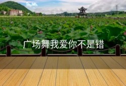 广场舞我爱你不是错