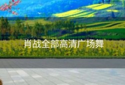 肖战全部高清广场舞