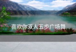 喜欢你双人五步广场舞