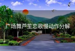 广场舞芦笙恋歌慢动作分解