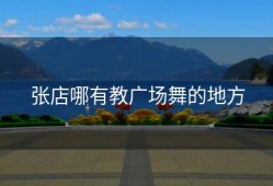 张店哪有教广场舞的地方