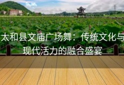 太和县文庙广场舞：传统文化与现代活力的融合盛宴