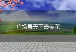 广场舞天下最美花