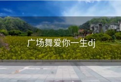 广场舞爱你一生dj
