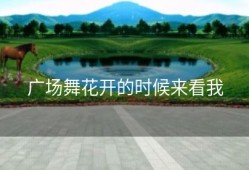 广场舞花开的时候来看我