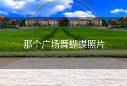 那个广场舞蝴蝶照片