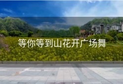 等你等到山花开广场舞