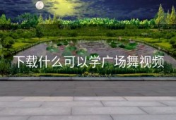 下载什么可以学广场舞视频