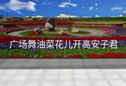 广场舞油菜花儿开高安子君