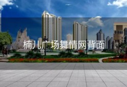 楠儿广场舞情网背面