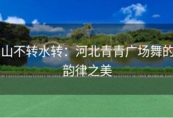 山不转水转：河北青青广场舞的韵律之美