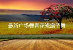 最新广场舞青花瓷扇子舞